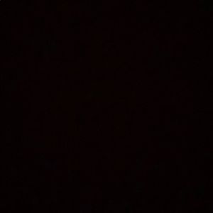 Meet your Posher, Jaden